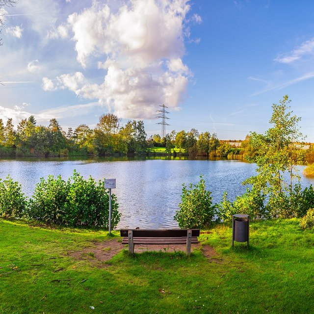 Das Bild zeigt den See im Heywoodpark in Peine, der auch Schwanensee genannt wird. Im Vordergrund ist eine Rasenfläche und dahinter der See. 