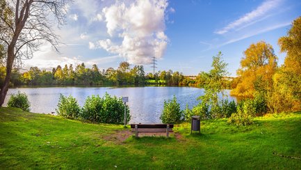 Das Bild zeigt den See im Heywoodpark in Peine, der auch Schwanensee genannt wird. Im Vordergrund ist eine Rasenfläche und dahinter der See. 