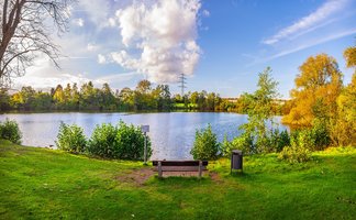 Das Bild zeigt den See im Heywoodpark in Peine, der auch Schwanensee genannt wird. Im Vordergrund ist eine Rasenfläche und dahinter der See. 