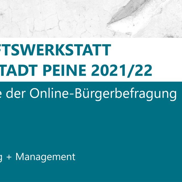 Das Bild zeigt die Folie eines Vortrags zum Thema Zukunfstwerkstatt in Peine. 